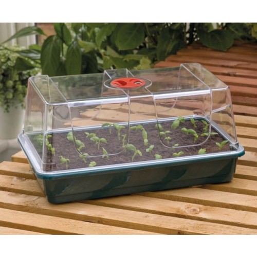 Propagator do kiełkowania