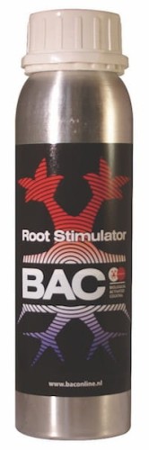 Stymulator korzeni