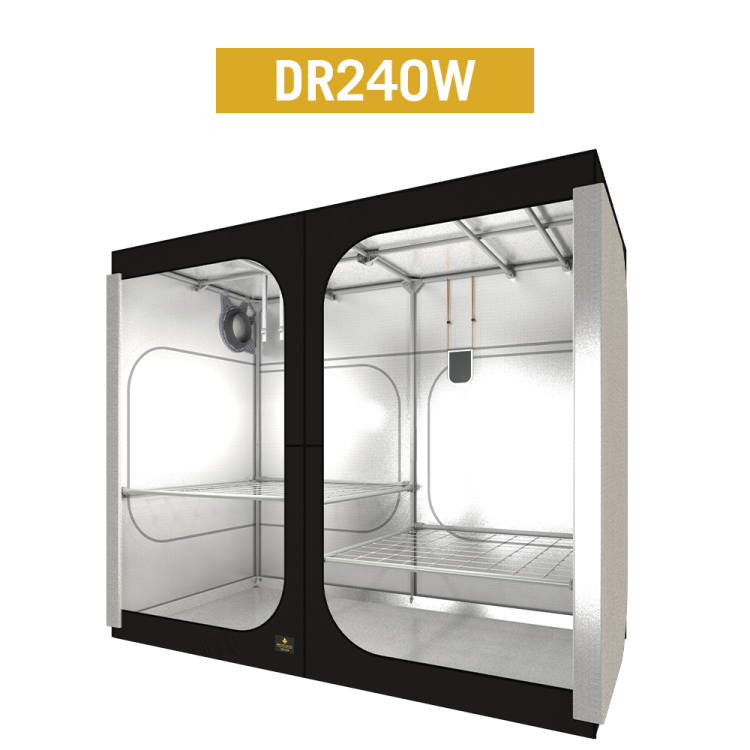 DR240W.png