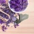 pol_pl_AC-Infinity-Lupa-powiekszajaca-30x-60x-z-podswietleniem-LED-6806_6.webp