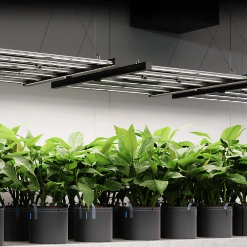 AC Infinity Lampa LED