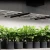 AC Infinity Lampa LED