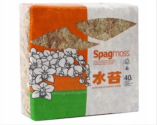 Besgrow Mech torfowiec Sphangum Spagmoss mieszanka mchu torfowego z Nowej Zelandii