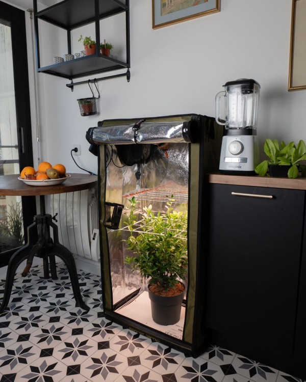 secret jardin propagator namiot growbox for twenty 100
