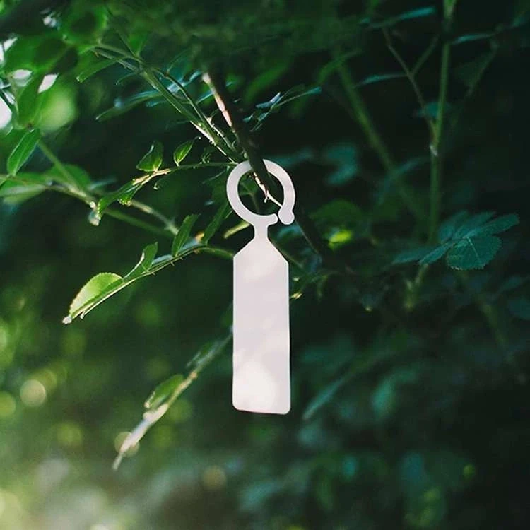 Wiszące tabliczki do oznaczania roślin 2,3 x 11 cm 100 szt.