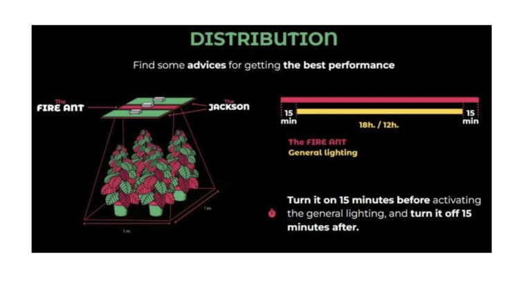 Grow The Jungle Lampa led The Fire Ant DR+FR 20W bloom booster na kwitnienie czerwone światło