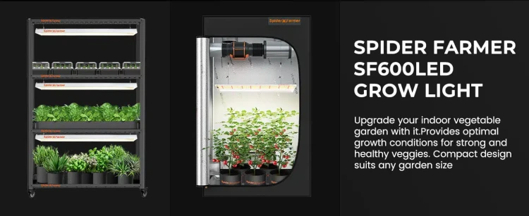 Spider farmer lampa led SF600 74W