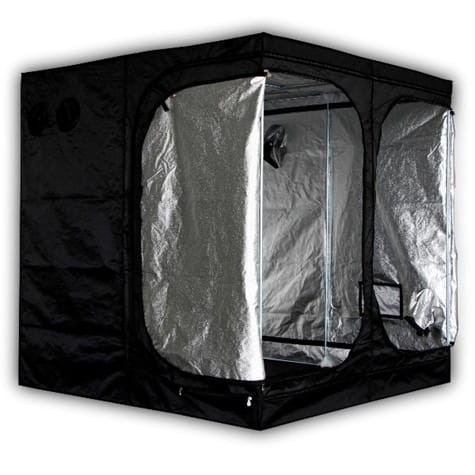 mammoth classic + 240x240x200cm namiot growbox uprawowy.jpg