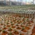 White-Grow-Bag-7-5-x-16-cm-50-sztuk-0-7L-biodegradowalne-doniczki-materialowe-do-rozsad