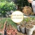 White-Grow-Bag-7-5-x-16-cm-50-sztuk-0-7L-biodegradowalne-doniczki-materialowe-do-rozsad