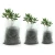 Herbgarden Doniczki materiałowe do rozsad White Grow Bag