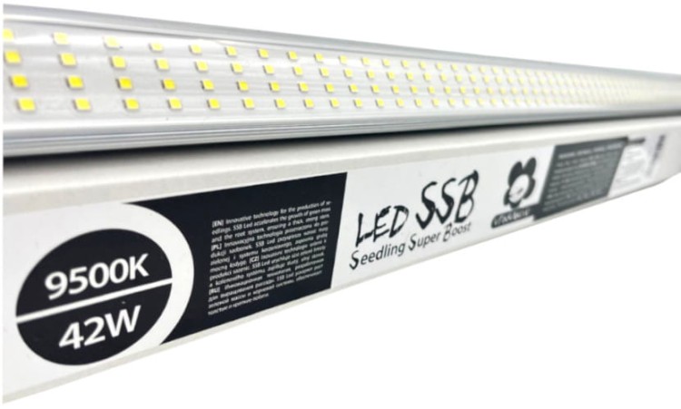 Lampa LED SSB do uprawy sadzonek i klonów 9500K 42W