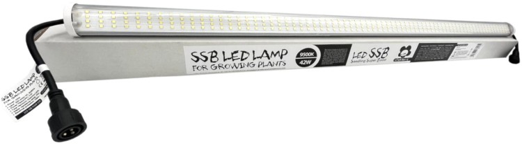 Lampa LED SSB do uprawy sadzonek i klonów 9500K 42W
