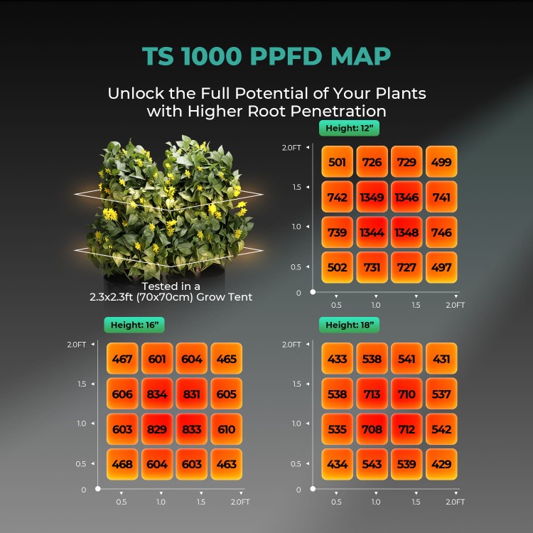 TS-1000-PPFD-MAP-1.jpg