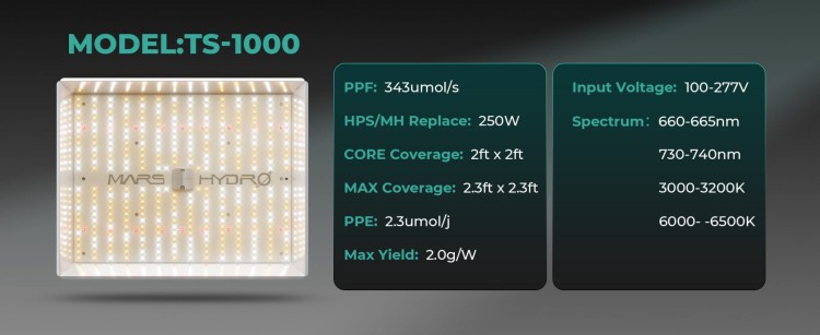 Mars-Hydro-TS1000-Product-parameter-1-2048x839.jpg