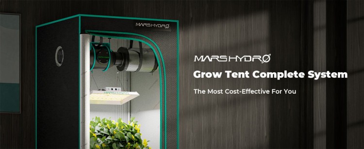 TS1000-SET-Banner1.jpg