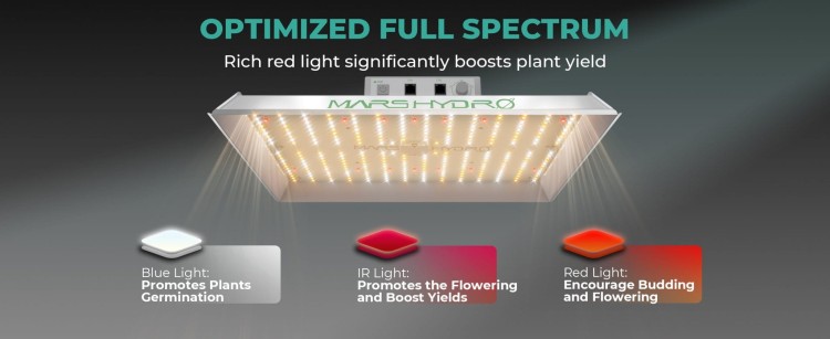 Mars-Hydro-TS1000-OPTIMIZED-FULL-SPECTRUM-Rich-red-light-significantly-boosts-plant-yield-1-2048x839.jpg