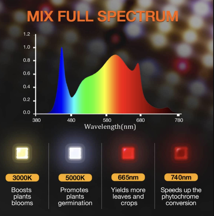 Spider Farmer SF1000D LED 100W 60x60x140cm zestaw uprawowy growbox full spektrum