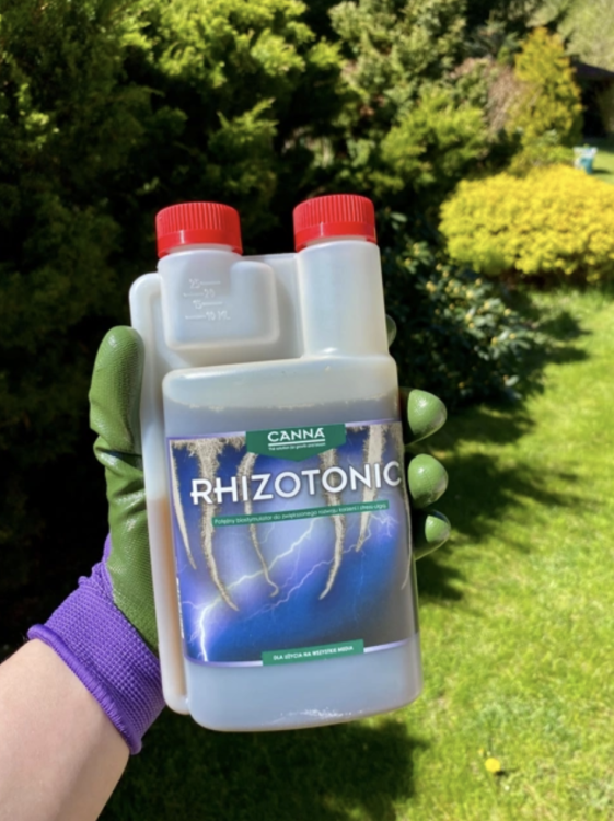 Canna Rhizotonic - Ukorzeniacz do Roślin, Stymulator Wzrostu Korzeni naturalny