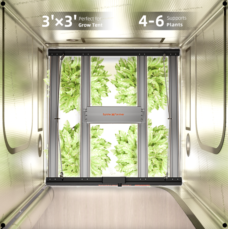Spider Farmer G3000 LED 300W 90x90x180cm zestaw uprawowy growbox led lamp