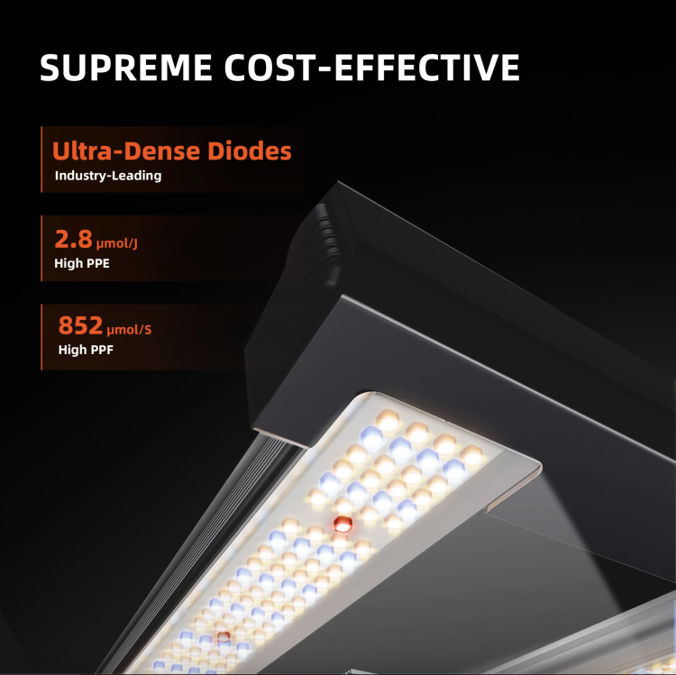 Spider Farmer G3000 LED 300W 90x90x180cm zestaw uprawowy growbox supreme cost effective