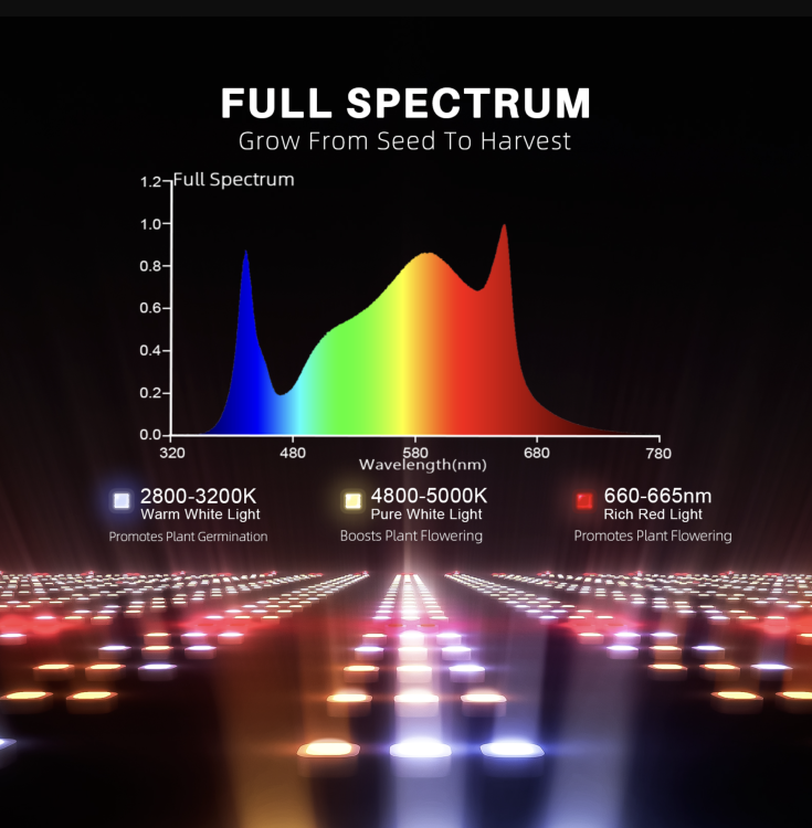 Spider Farmer G1000 LED 1000W 150x150x200cm Zestaw Uprawowy Growbox Kontroler Klimatu full spectrum