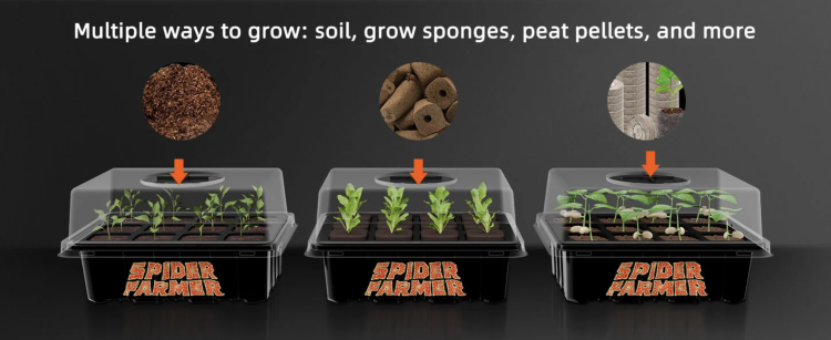 Spider Farmer Tacek do Kiełkowania Nasion 4 szt. różne medium