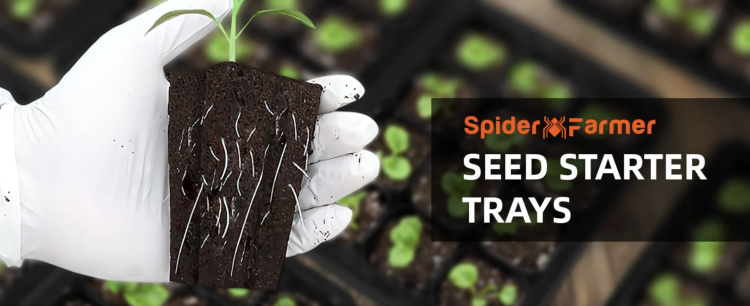 Spider Farmer Tacek do Kiełkowania Nasion 4 szt. do sadzonek i kielkowania