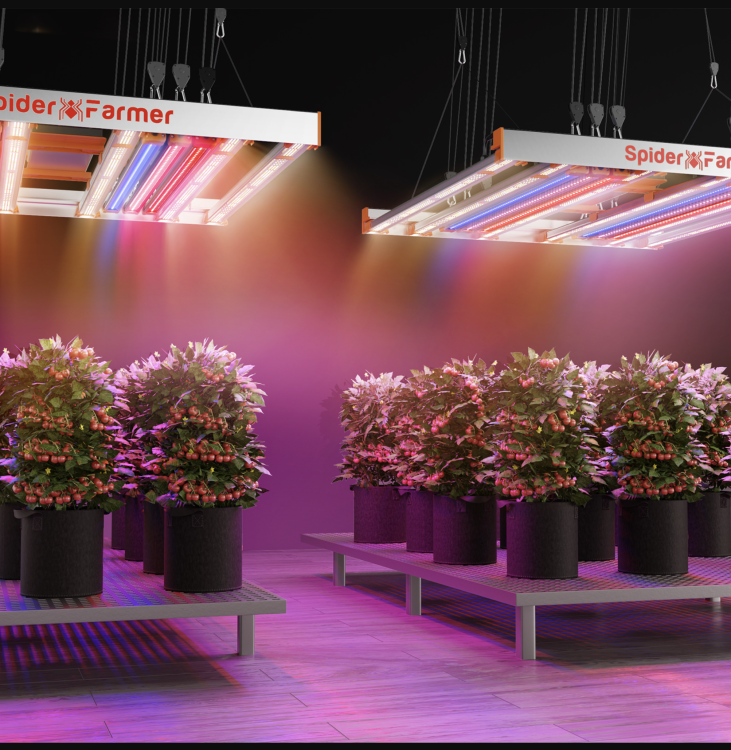 Spider Farmer LED Grow Light Bars IR Podczerwień Zestaw Doświetleniowy dla Roślin 730nm 60cm i 90 cm