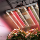 Spider Farmer LED Grow Light Bars IR Podczerwień Zestaw Doświetlanie Roślin