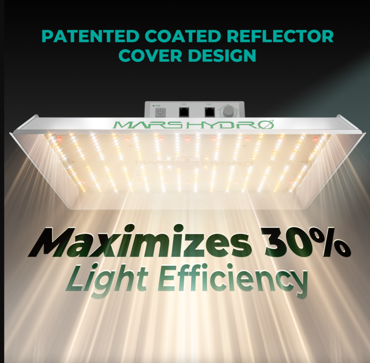 Mars Hydro TS 1000 LED 150W 80x80x160cm Zestaw Uprawowy Growbox Kontroler Klimatu wysoka wydajność