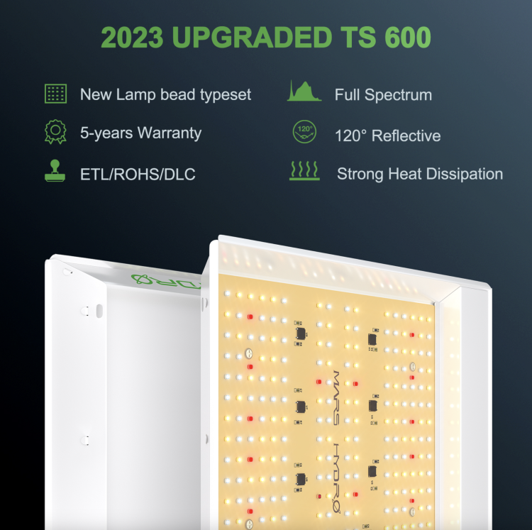 Mars Hydro TS 600 Led 100W 60x60x140cm Zestaw Uprawowy Growbox Sterownik iFresh lampa led