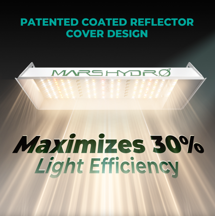 Mars Hydro TS 600 Led 100W 60x60x140cm Zestaw Uprawowy Growbox Regulator Prędkości  30% efficiency