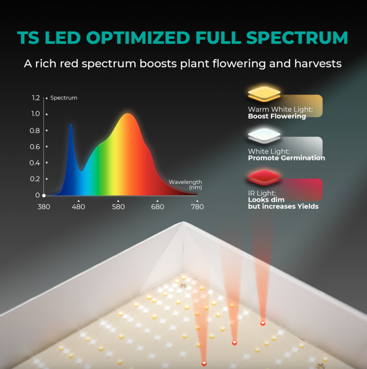 Mars Hydro TS 600 Led 100W 60x60x140cm Zestaw Uprawowy Growbox Regulator Prędkości  spectrum