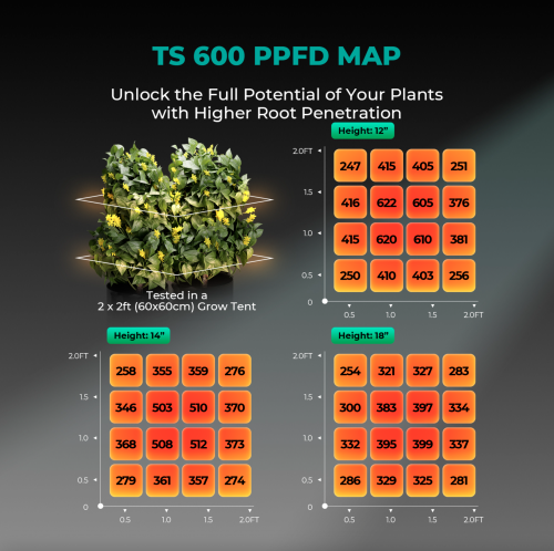 Mars Hydro TS 600 Led 100W 60x60x140cm Zestaw Uprawowy Growbox Regulator Prędkości  ppfd