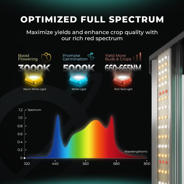 Mars Hydro FC1500 EVO LED 150W 70x70x160cm zestaw uprawowy growbox