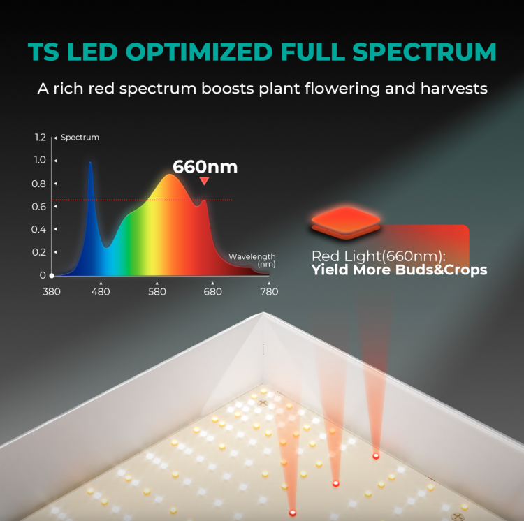 Mars Hydro TSL 2000 LED 300W 120x60x180cm Zestaw Uprawowy Growbox Regulator Prędkości spektrum