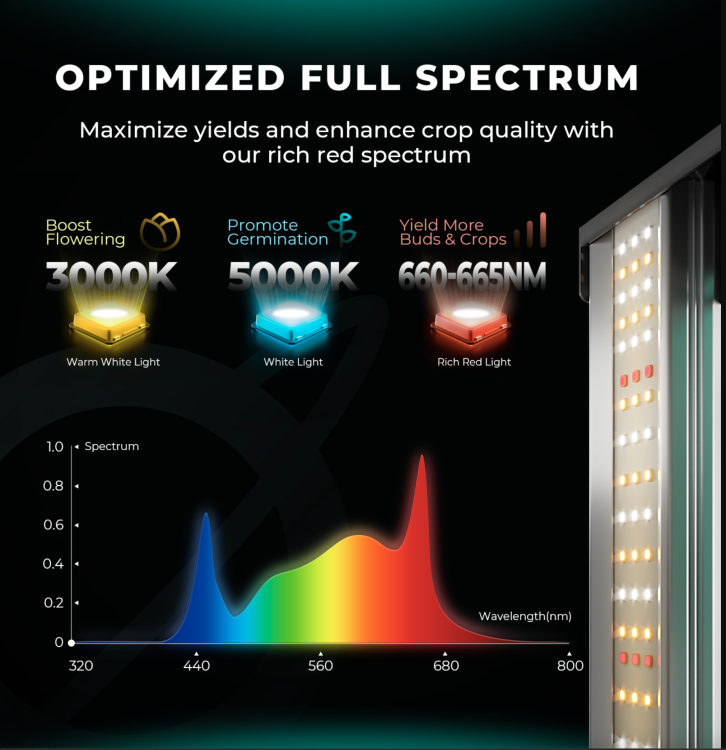 Mars Hydro FC 4000 EVO LED 320W 120x60x180cm Zestaw Uprawowy Growbox Regulator Prędkości  spektrum
