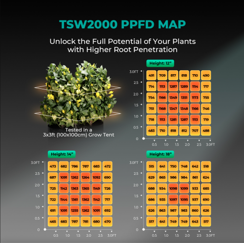 Mars Hydro TSW 2000 LED 300W 120x120x200cm Zestaw Uprawowy Growbox Aplikacja iFresh  ppfd