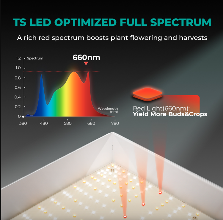 Mars Hydro TSW 2000 LED 300W 120x120x200cm Zestaw Uprawowy Growbox Aplikacja iFresh  spektrum