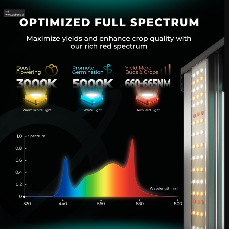 Mars Hydro FC 4800 LED 480W 120x120x200cm Zestaw Uprawowy Growbox Regulator Prędkości spektrum