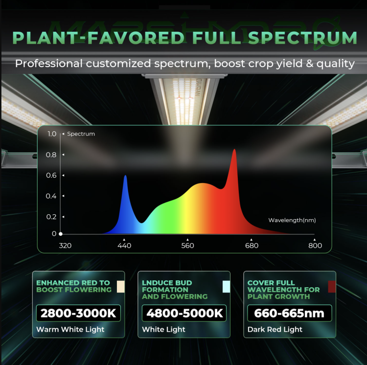 Mars Hydro FC E6500 LED 730W 150x150x200cm Zestaw Uprawowy Growbox Aplikacja iFresh spektrum