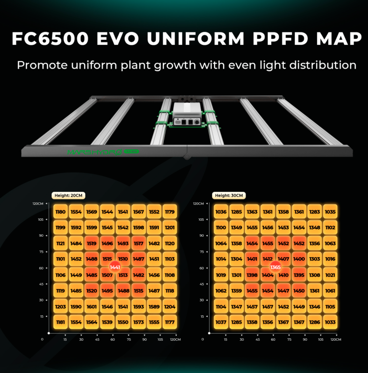 Mars Hydro FC 6500 EVO LED 730W 150x150x200cm Zestaw Uprawowy Growbox Regulator Prędkości ppfd