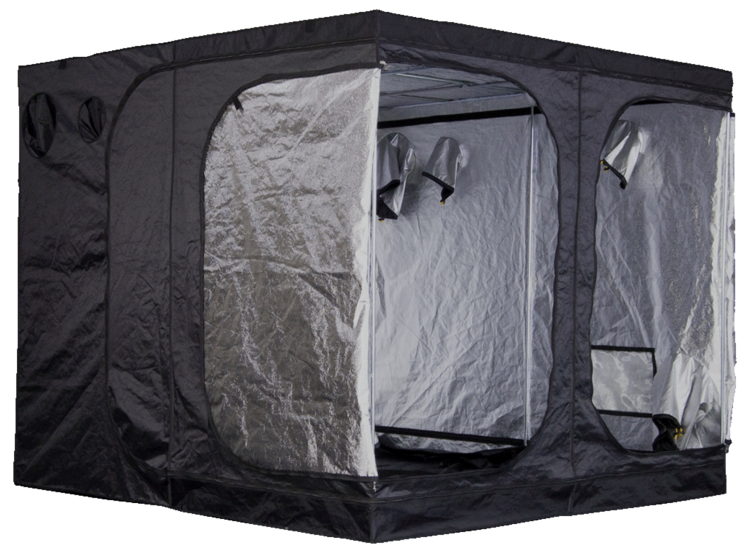 Mammoth Pro+ Growbox Profesjonalny Namiot Uprawowy 240x240x200cm