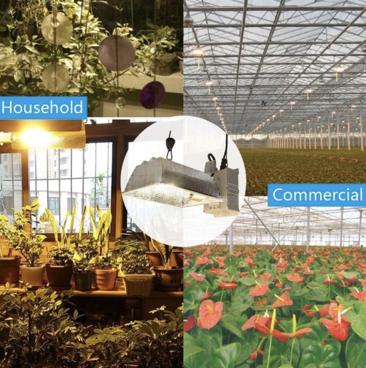 Tophort CMH 315W 4000K Zestaw Oświetleniowy do Wydajnego Oświetlania Upraw żarówka greenhouse