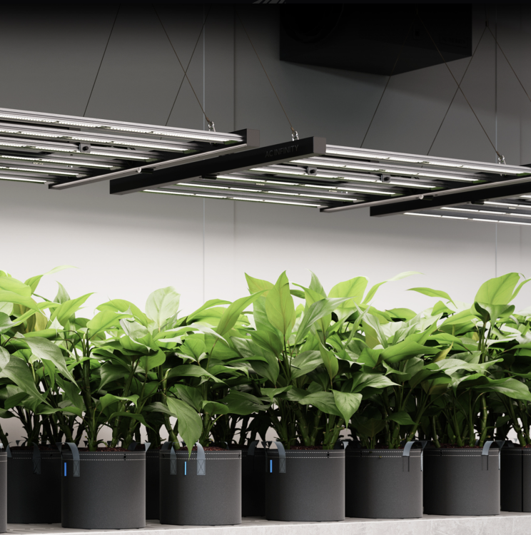 IONFRAME EVO4 – Komercyjna Lampa LED Grow 300W Samsung LM301H EVO Pokrycie 90x90 cm specyfikacja uprawa