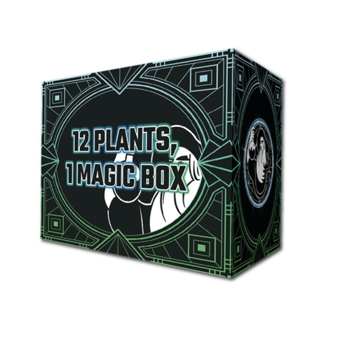 Cannaboom Potion Box – Kompletny Zestaw Nawozowy na Cały Cykl Uprawy 12 roslin