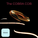 grow the jungle the cobra 6500k 10W/m