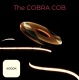 Grow The Jungle The Cobra COB 4000K 10W/m – 10m taśma LED Full Spectrum