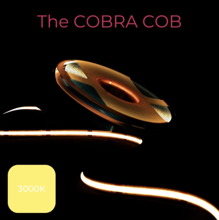 Grow The Jungle The Cobra COB 3000K 10W/m – 10m taśma LED Full Spectrum